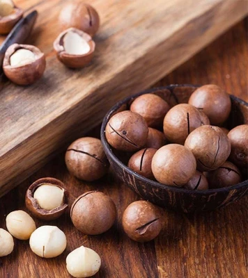 فندق ماکادمیا مرطوب