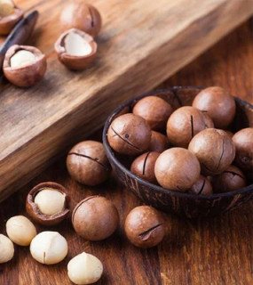 فندق ماکادمیا مرطوب
