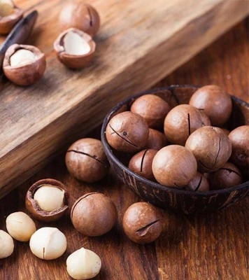 فندق ماکادمیا مرطوب